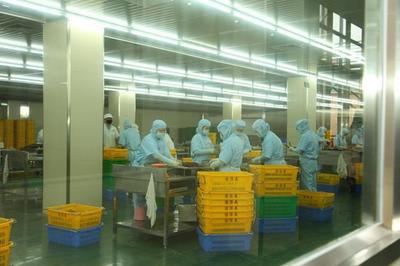 東莞道滘16家企業(yè)榮獲2022年度食品生產(chǎn)企業(yè)質(zhì)量獎(jiǎng)，彰顯產(chǎn)業(yè)高質(zhì)量發(fā)展