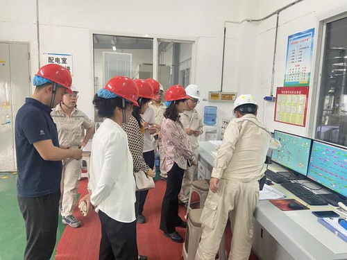 四川省市場監(jiān)管局深入廣元市開展食品生產企業(yè)體系建設專項檢查，筑牢食品安全防線